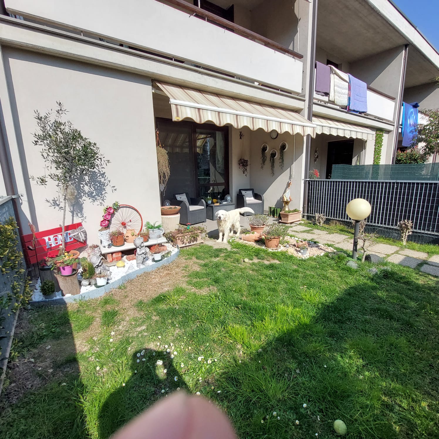 Sorbolo – Villetta a schiera centrale con giardino