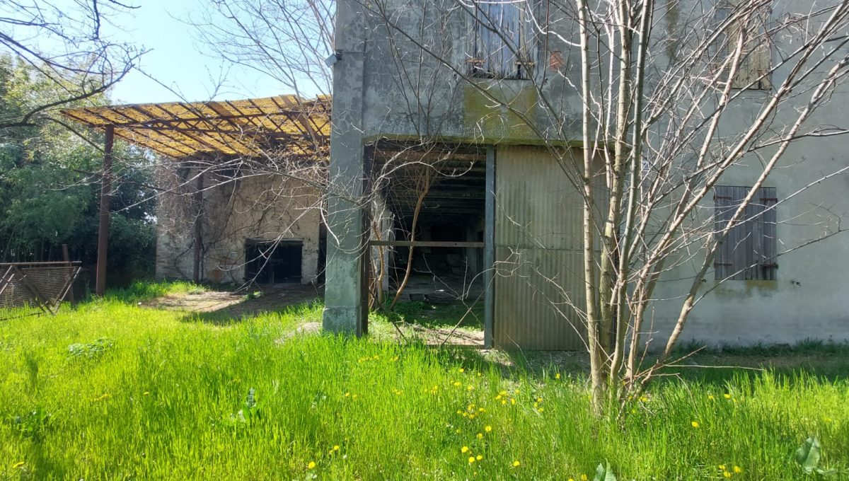 IMG-20220405-WA0146