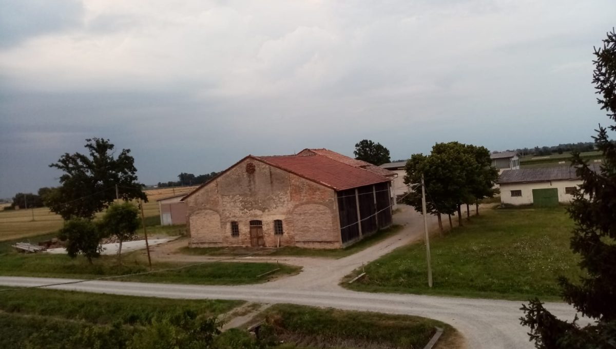 IMG-20221103-WA0005