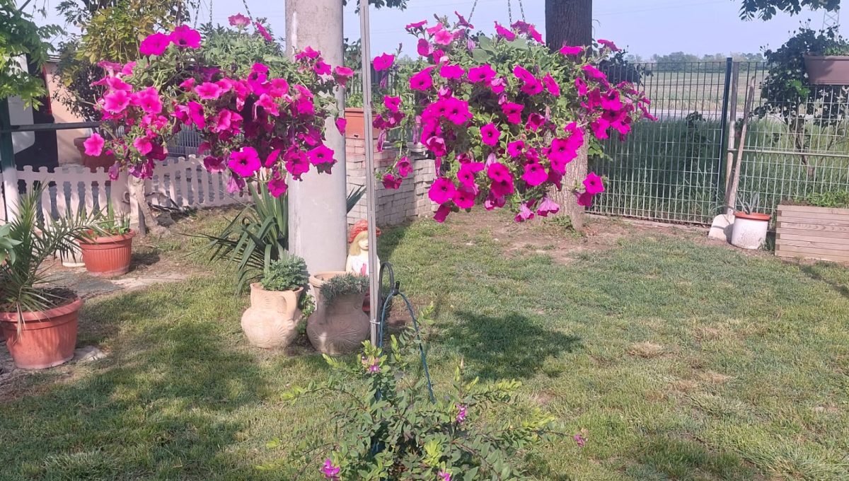 WhatsApp Image 2023-05-05 at 17.17.27 (2) - Copia