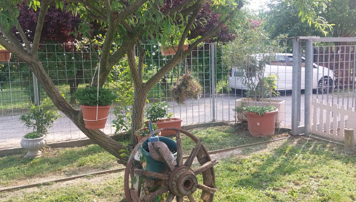 WhatsApp Image 2023-05-05 at 17.17.27 - Copia