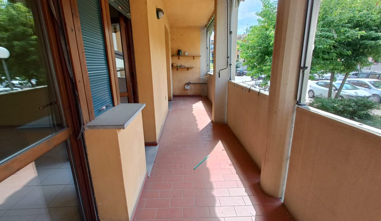 WhatsApp Image 2023-08-03 at 15.35.52 (4)