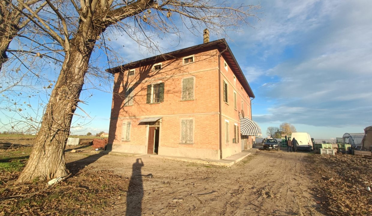 Immagine WhatsApp 2024-11-22 ore 16.29.22_9fe16709