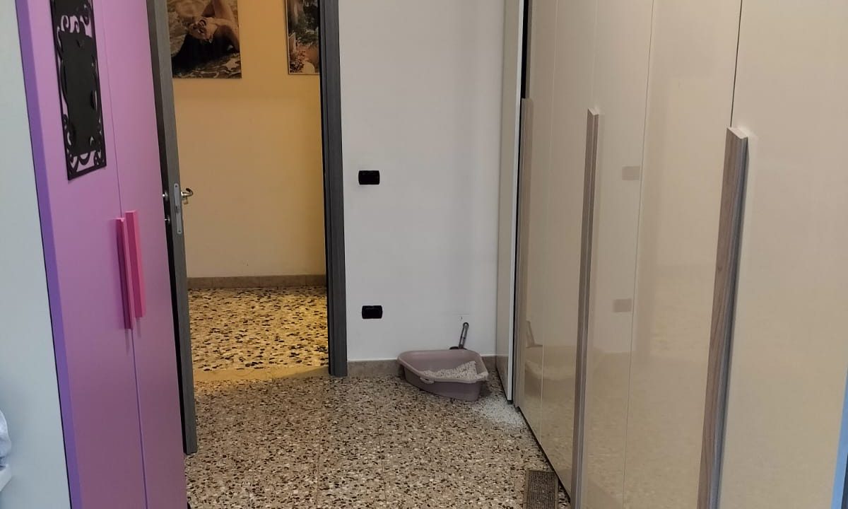 1 (18)