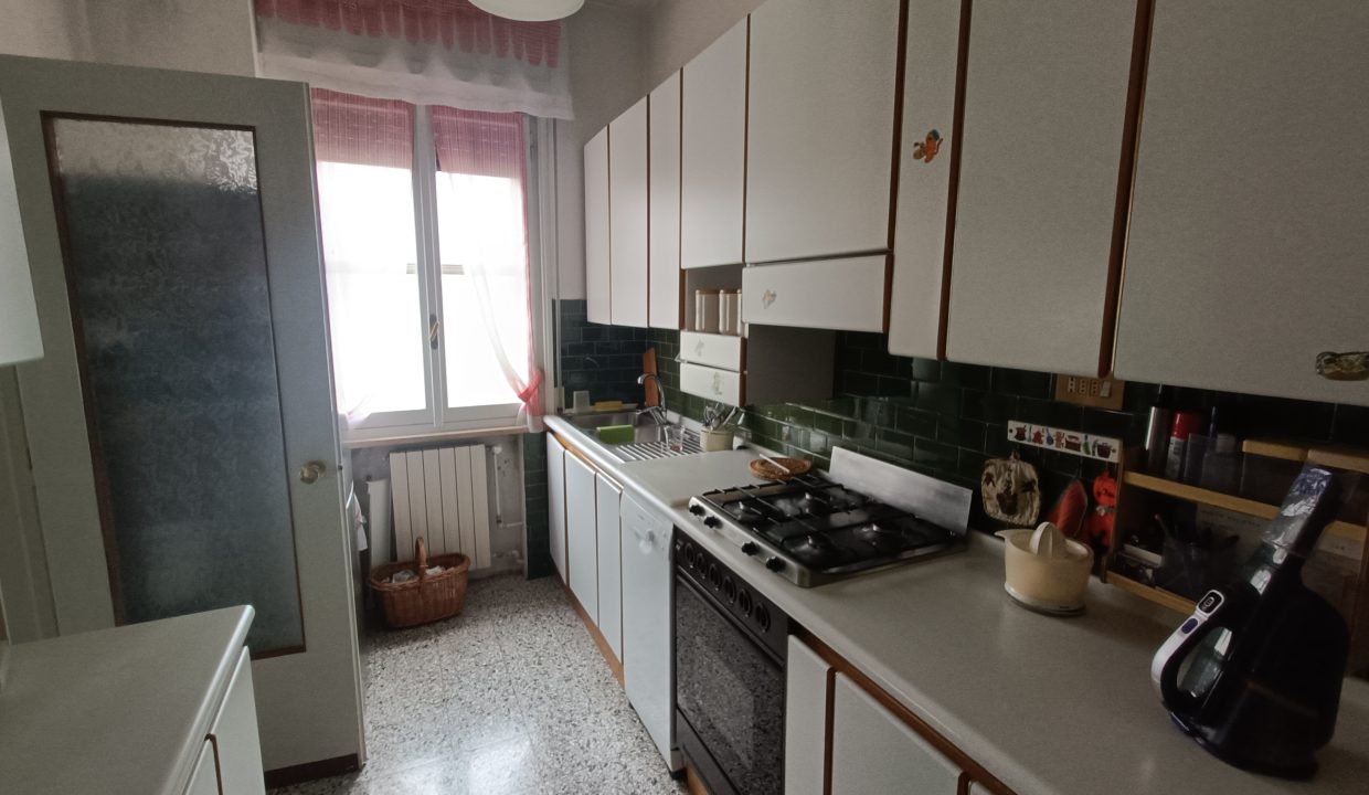 IMG20250219113441