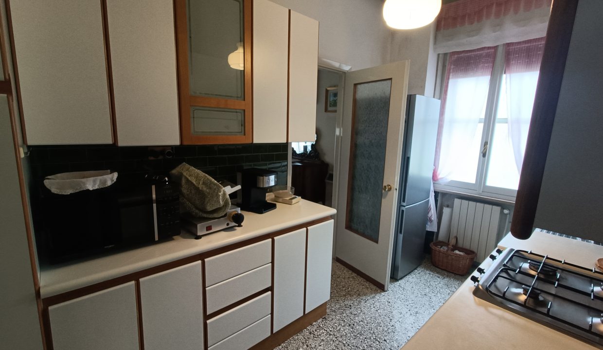 IMG20250219113504