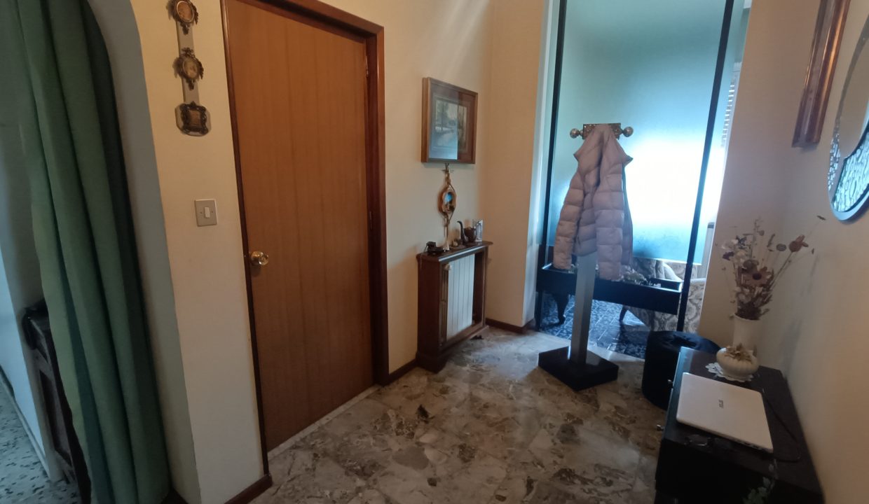 IMG20250219113904