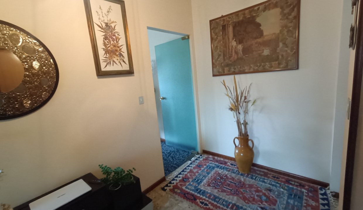 IMG20250219113911