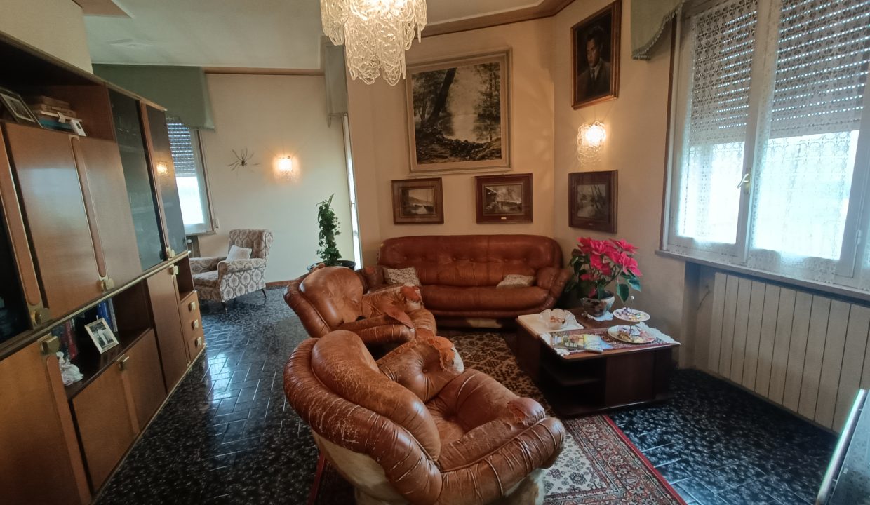 IMG20250219114146