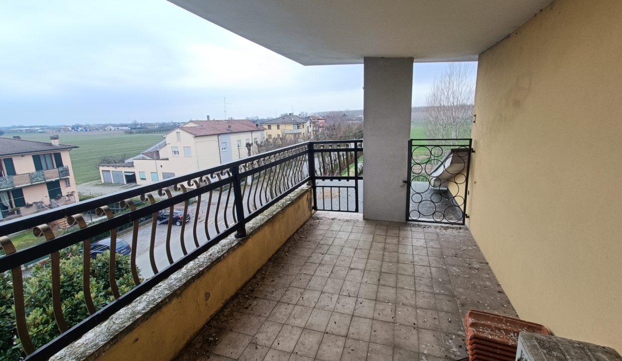 IMG20250219114409