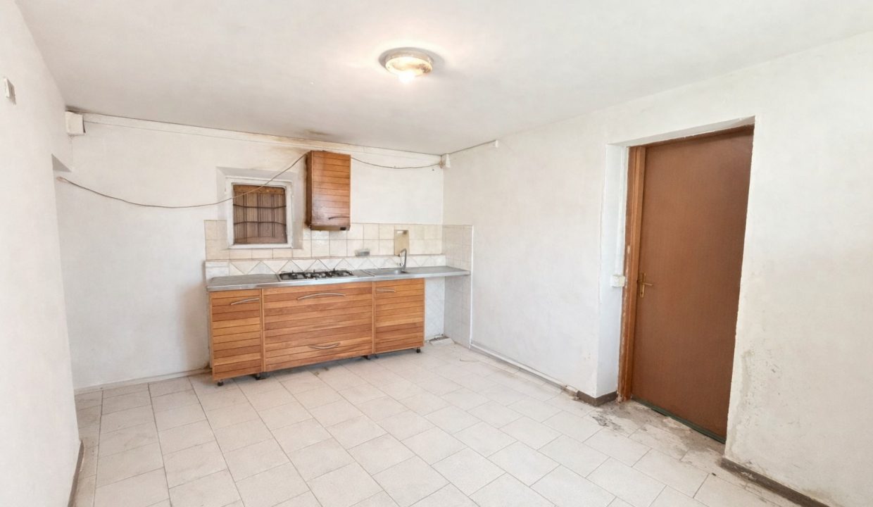 WhatsApp Image 2026-02-17 at 12.22.56