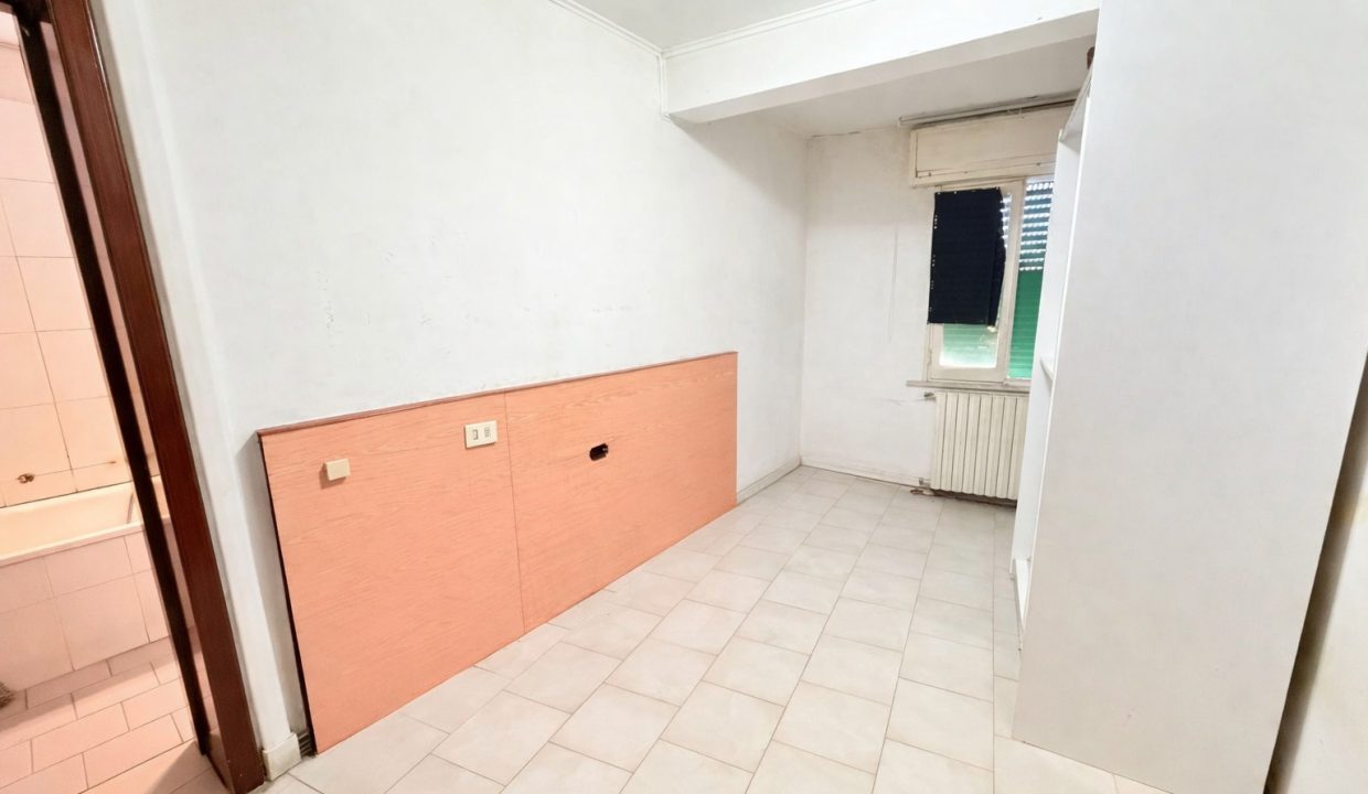 WhatsApp Image 2026-02-17 at 12.24.16