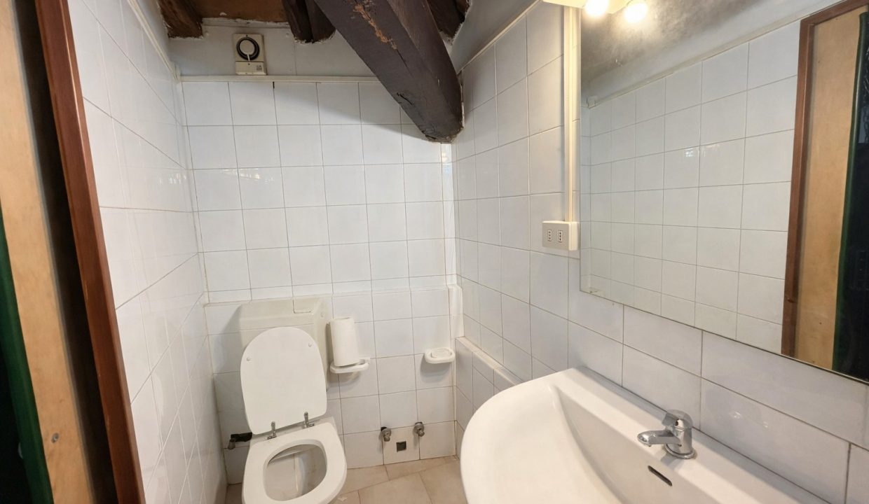 WhatsApp Image 2026-02-17 at 15.15.26