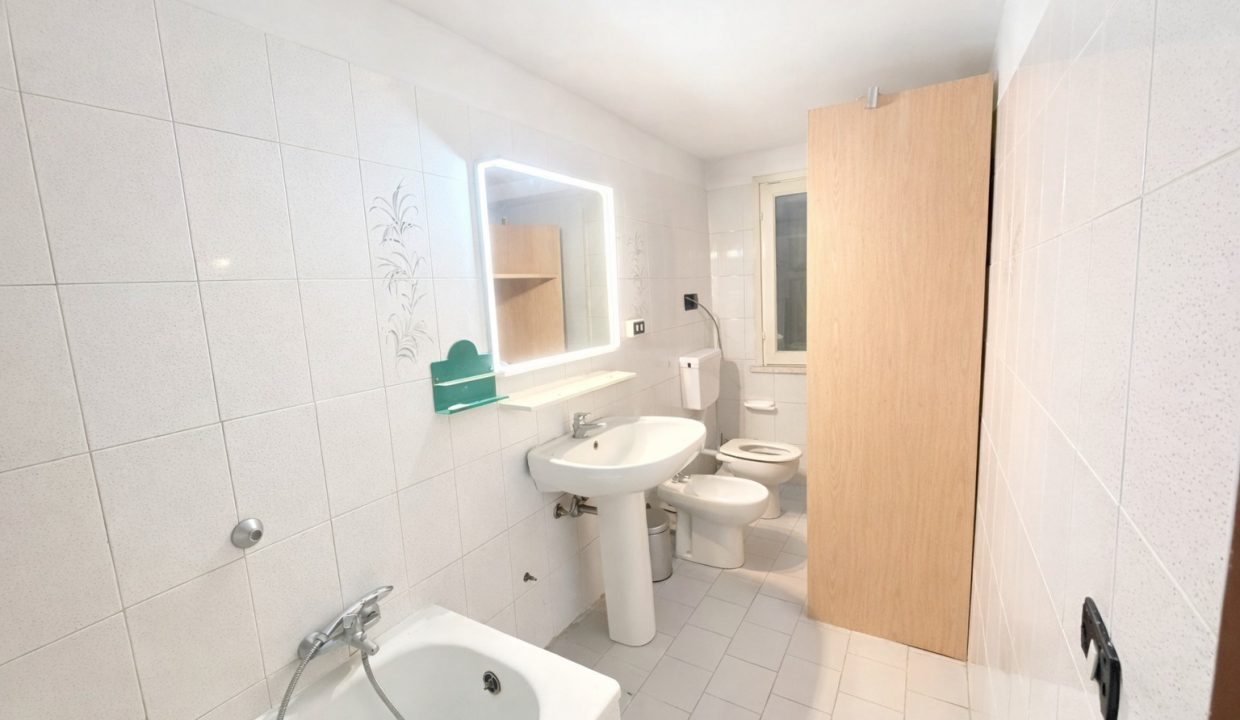 WhatsApp Image 2026-02-19 at 18.40.36