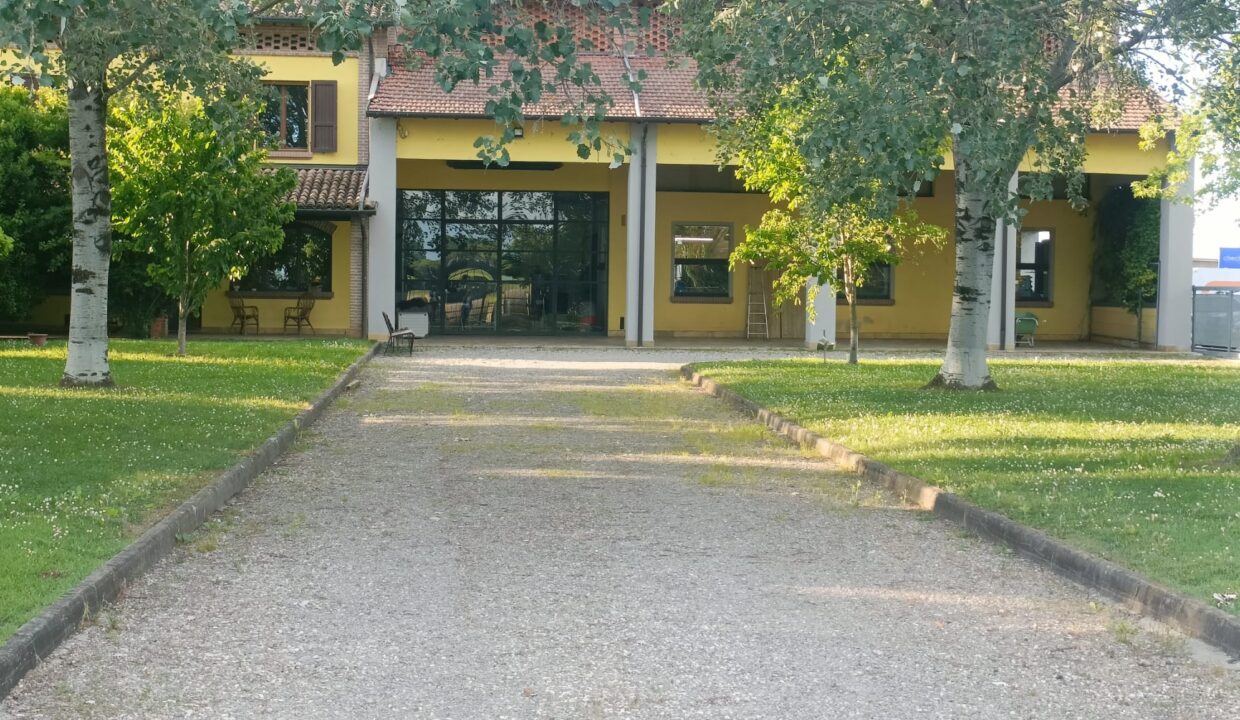 2 (4)
