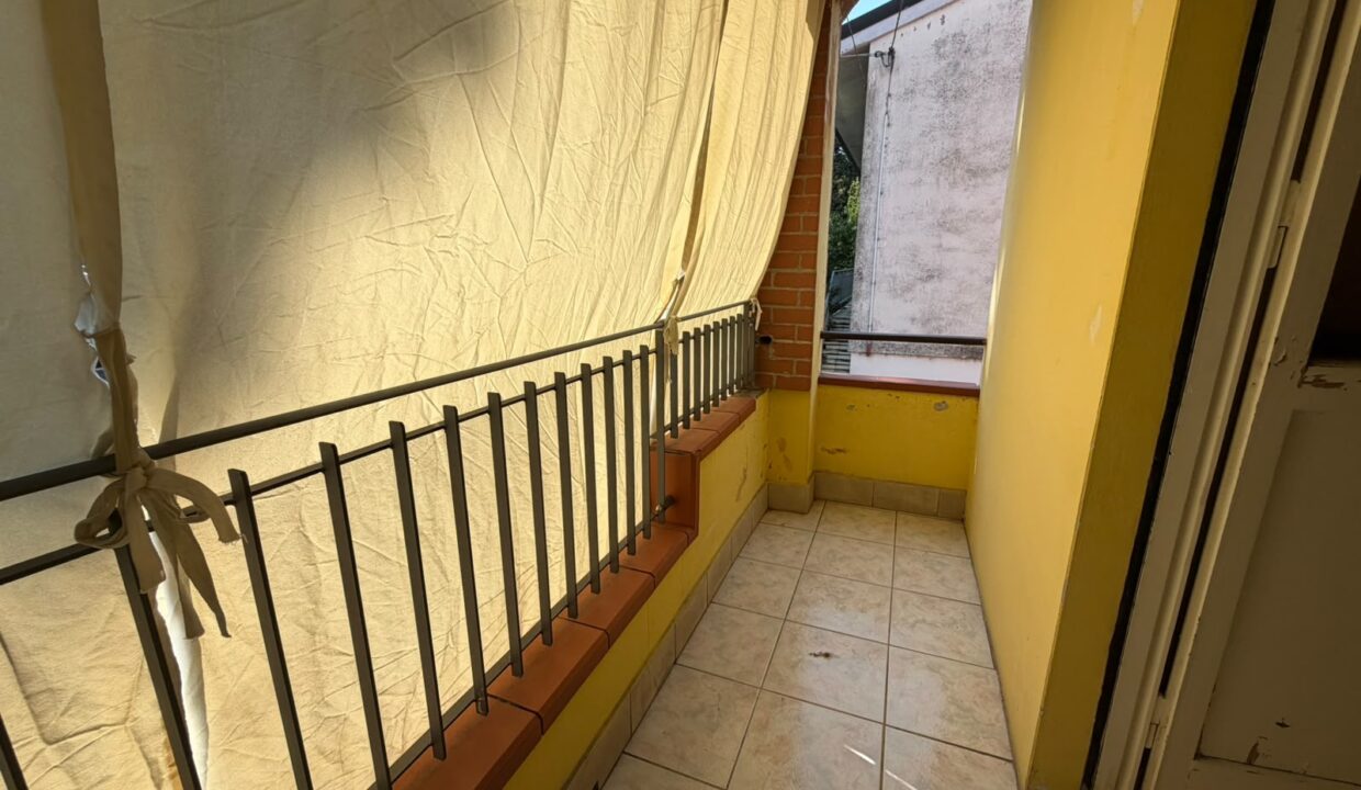 1 (21)