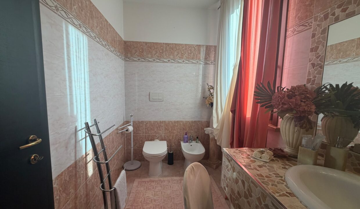 1 (17)
