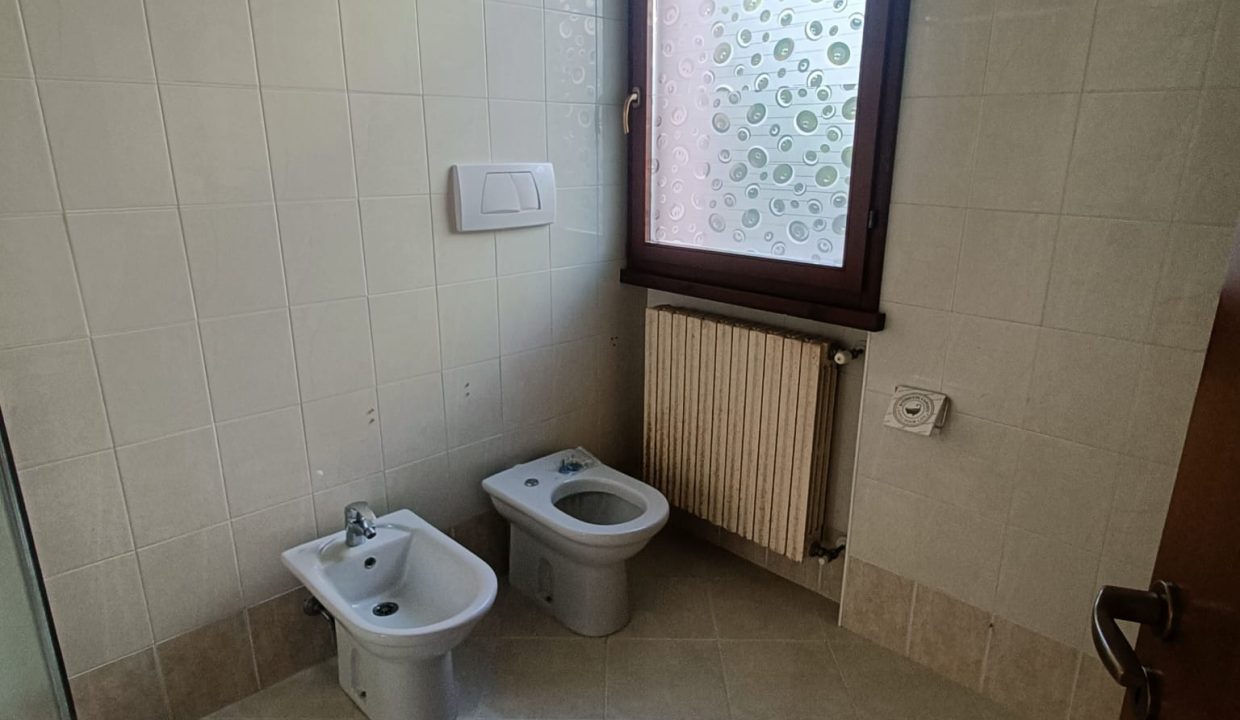 1 (19)