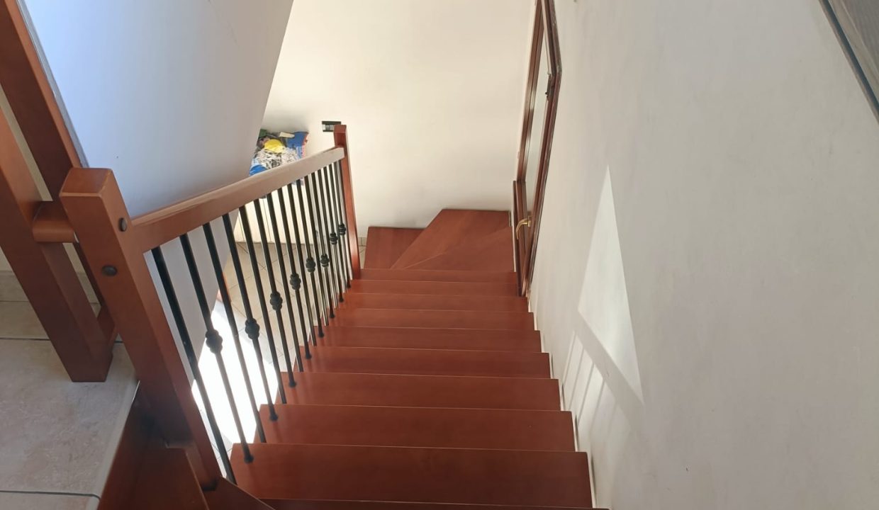1 (21)